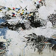 DANZIGER insearch LG