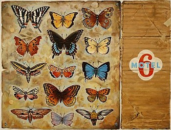 KUNKEL transformation LG