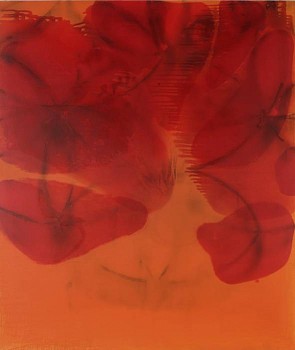 solentinameii 72x60 xl