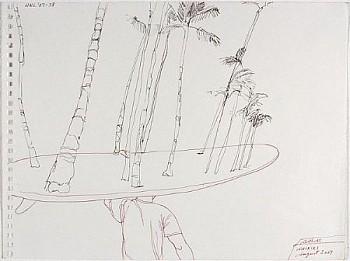 web hnl07 38 surfbtrees LG