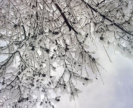 EDIE WINOGRADE, CLEAR AIR (snow #1)
photograph