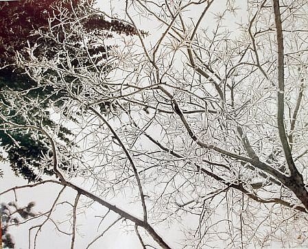 EDIE WINOGRADE, CLEAR AIR (snow #2)
photograph