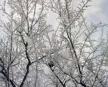 EDIE WINOGRADE, CLEAR AIR (snow #3)
photograph
