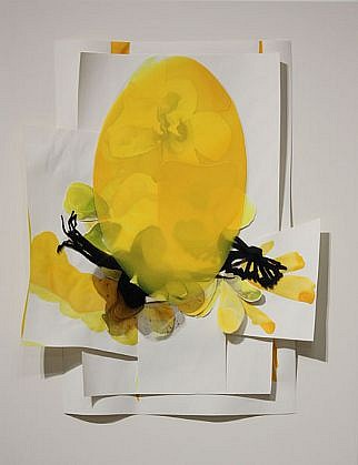 KATY STONE, EOSTER
Acrylic on Duralar, and paper mounted on lacquered panel in plexi box