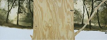 web yes no thewoods LG