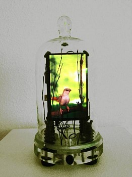 zimmer canyouhearme xl