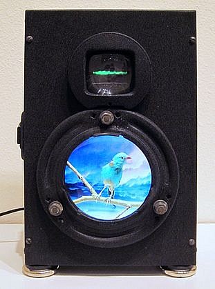 DAVID ZIMMER, BLUE BIRD BOX
video, power supply.