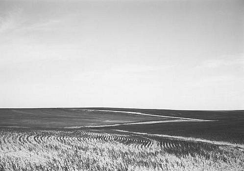 KEVIN O'CONNELL, ROAD AND CROP LINES ED. 2/25
platinum print