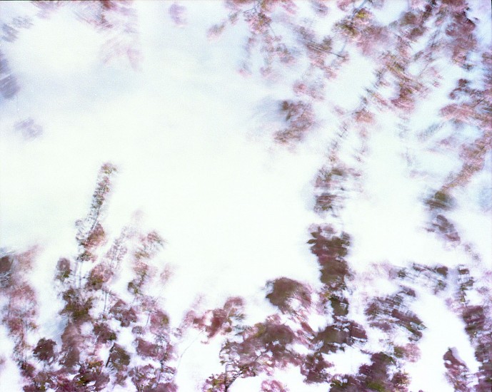 EDIE WINOGRADE, CLEAR AIR (pink 4)
photograph