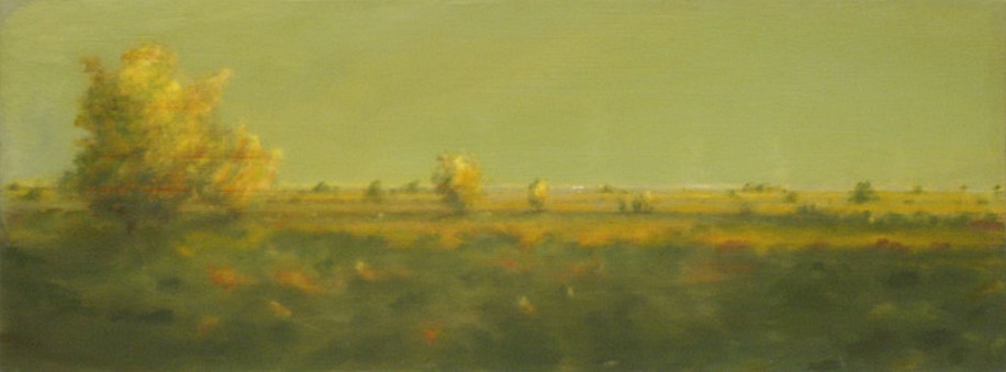 PETER DI GESU, VALLEY
oil on canvas