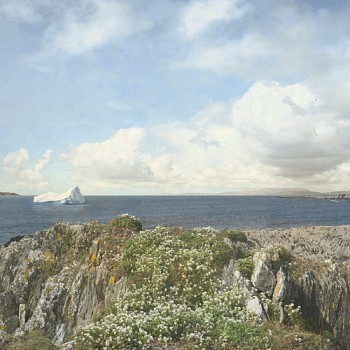 KAHN+SELESNICK FlowersByTheSea