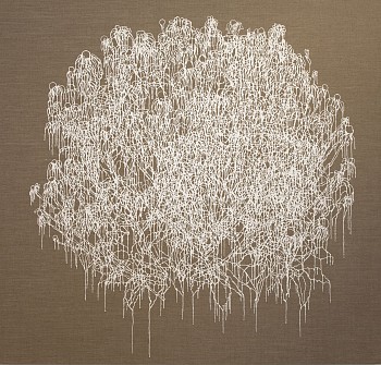millner echinecea 57x60