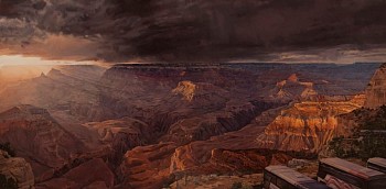 OSBORNE LookingForMoran