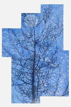 Bumiller T Balsamic Moon 104x74