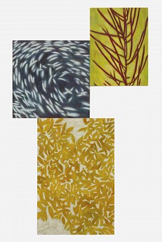 Tidal Pool 70x42