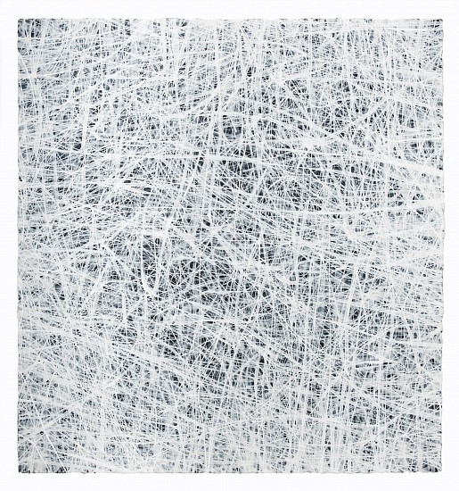 RECENT ARRIVALS, ERIN WIERSMA, "EXAMEN, 1/2/2015"
acrylic on paper