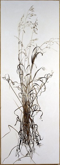 KAREN KITCHEL, ACTUAL SIZE #4  (TALL GRASS)
walnut ink, sepia ink, acrylic, rhoplex/vellum
