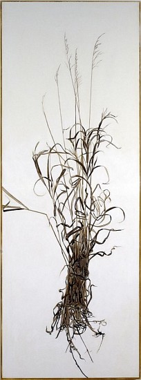 KAREN KITCHEL, ACTUAL SIZE #1 (TALL GRASS)
walnut ink, sepia ink, acrylic, rhoplex/vellum