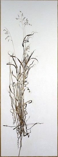 KAREN KITCHEL, ACTUAL SIZE #3  (TALL GRASS)
walnut ink, sepia ink, acrylic, rhoplex/vellum
