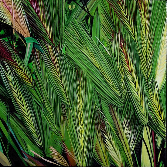 KAREN KITCHEL, MATURE GRASS 4, SUMMER
oil on panel