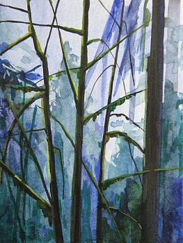 SHERMAN Trees