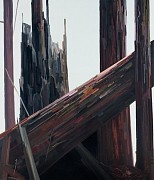 sherman diagonal tree