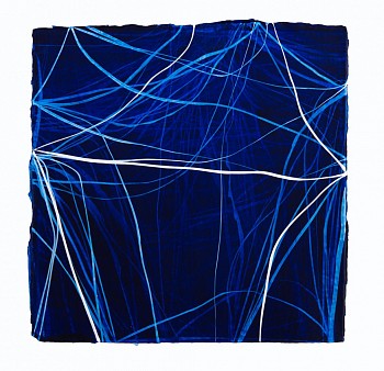 wiersma erin examen 2 14 2016 2016 acrylic on paper 12in x12in