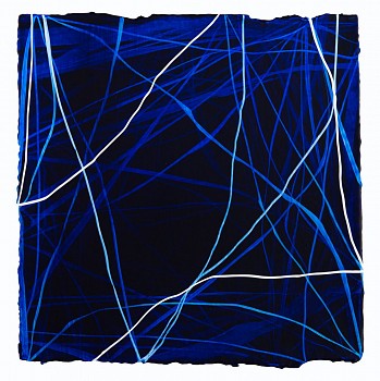 wiersma erin examen 5 30 2016 2016 acrylic on paper 12in x12in