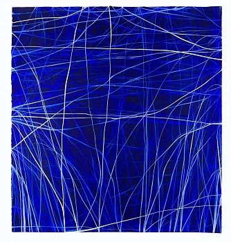 wiersma erin examen 7 25 2015 2017 acrylic on paper 33in x31in