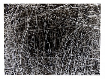 WIERSMA Erin 20B, 8 4 2017 char acrylic on panel 36x48