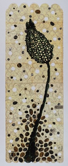ANA MARIA HERNANDO, ANETHUM GRAVEOLENS
acrylic and collage on lithograph with cut-outs