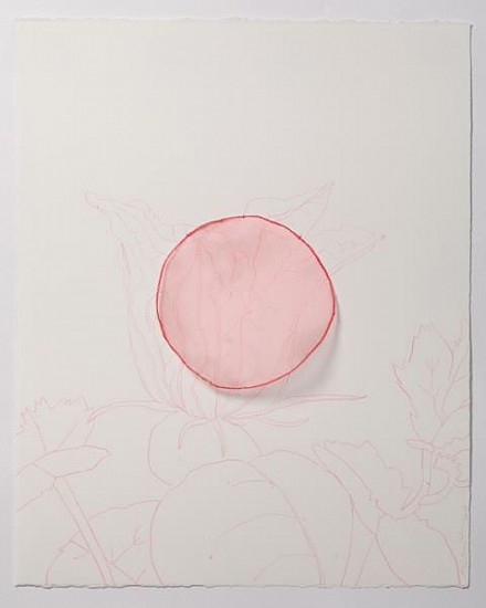 ANA MARIA HERNANDO, FLOR DE CALABAZA, CURCURBITA (Pumpkin Flower)“No nos ven, pero aquí estamos”<br />
color pencil & organza on paper