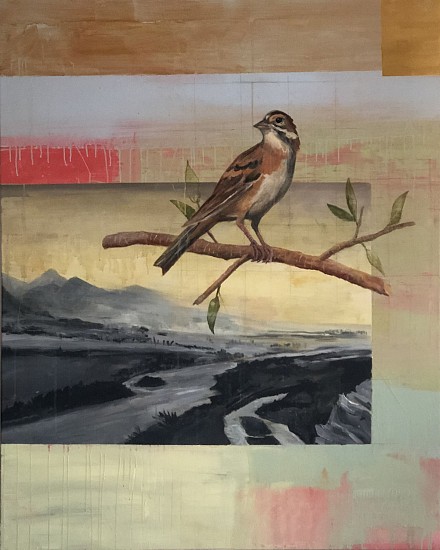 TOM JUDD, LARK BUNTING
acrylic and graphite on canvas