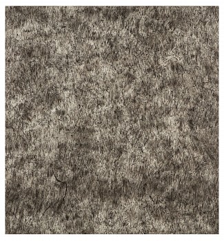 wiersma erin transect 211 c3c jpw 4 19 2018 2018 char on paper 48in x 45in