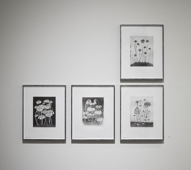 KIKI SMITH, VARIETY FLOWERS  H.C. 1/1
etching, aquatint and drypoint on Hahnemuhle bright white paper