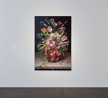 VANMINNEN Parallax Install