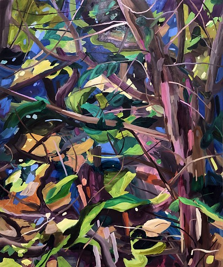 DIANE CARR, FOREST
oil on canvas