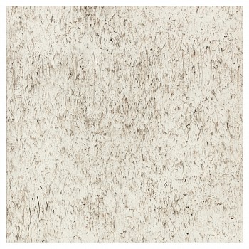 wiersma erin transect 2019 094 c3a dusk 2019 char on paper 26in x 26in