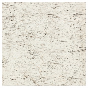 wiersma erin transect 2019 099 c3a sdw evening dew 2019 char on paper 26in x 26in