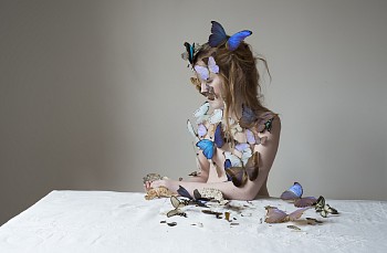 kristenhatgisinkpottedplatlife