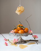 kristenhatgisinkhoneyoranges