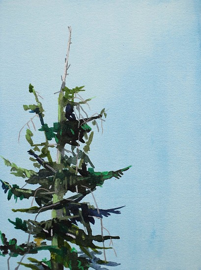 CLAIRE SHERMAN, TREE
mixed media on paper