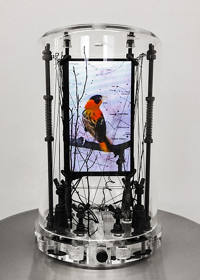 DAVID ZIMMER, THE ORANGE WEAVERS
LCD video and mixed media