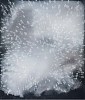 BARBARA TAKENAGA, HOVENWEEP
acrylic on linen