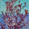 TRINE BUMILLER, CHOKECHERRY: GARDEN OF EDEN
oil on panel