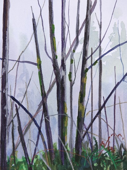 CLAIRE SHERMAN, TREES AND MOSS
mixed media on paper