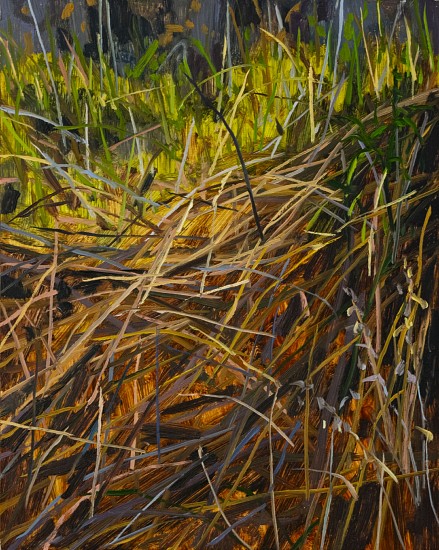 CLAIRE SHERMAN, GRASS
oil on panel