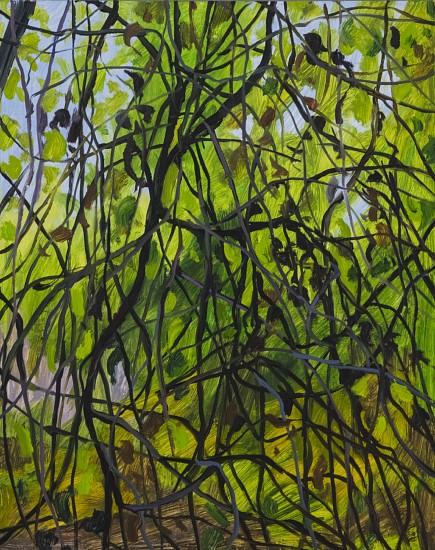 CLAIRE SHERMAN, VINES
oil on panel