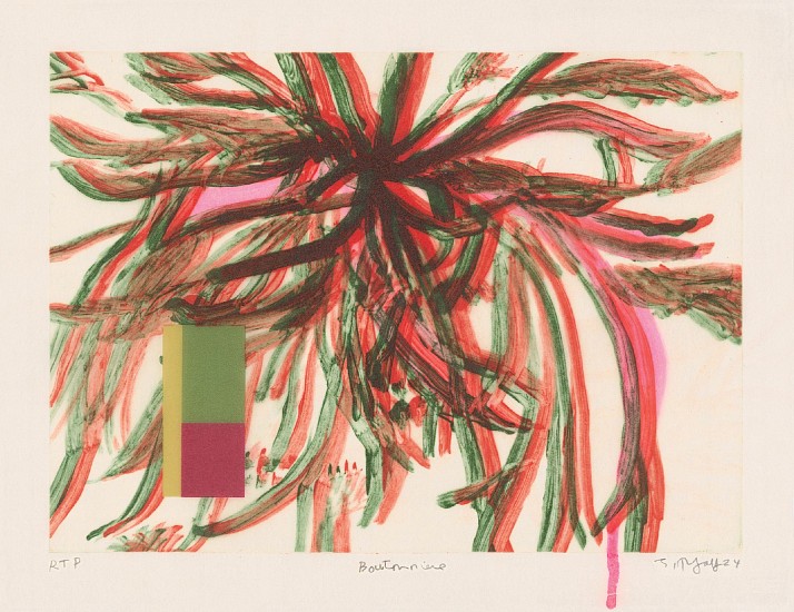 JUDY PFAFF, BOUTONNIERE 5 5/12
intaglio, shellac, acrylic paint and archival inkjet on Kozo paper