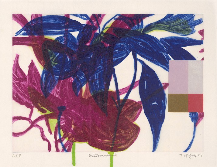 JUDY PFAFF, BOUTONNIERE 6 5/12
intaglio, shellac, acrylic paint and archival inkjet on Kozo paper